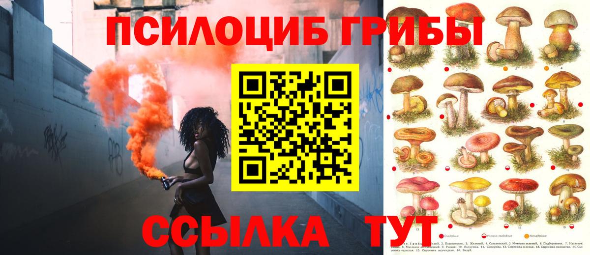Галлюциногенные грибы мухоморы Калининград